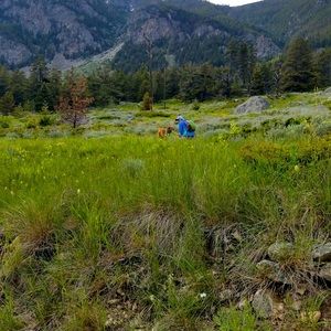 Meet your Posher, Aubrey